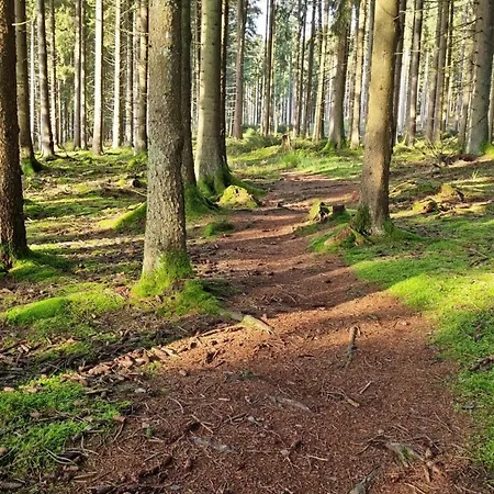 Apartment Rustikale Wanderhütte Am Angelteich