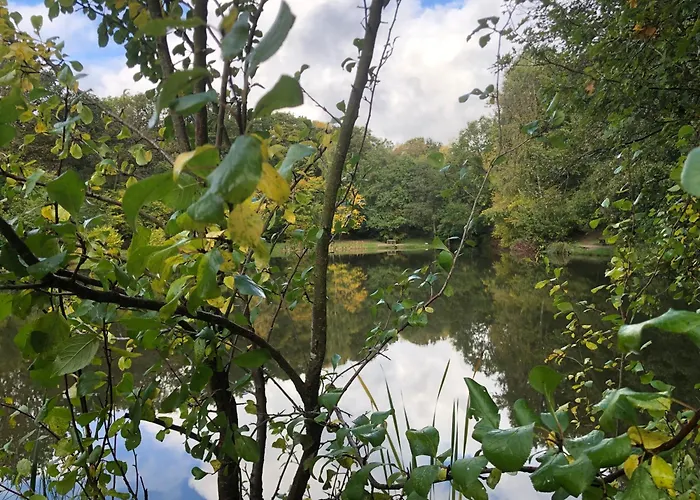 Rustikale Wanderhuette Am Angelteich