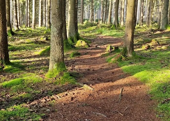 דירה Rustikale Wanderhuette Am Angelteich